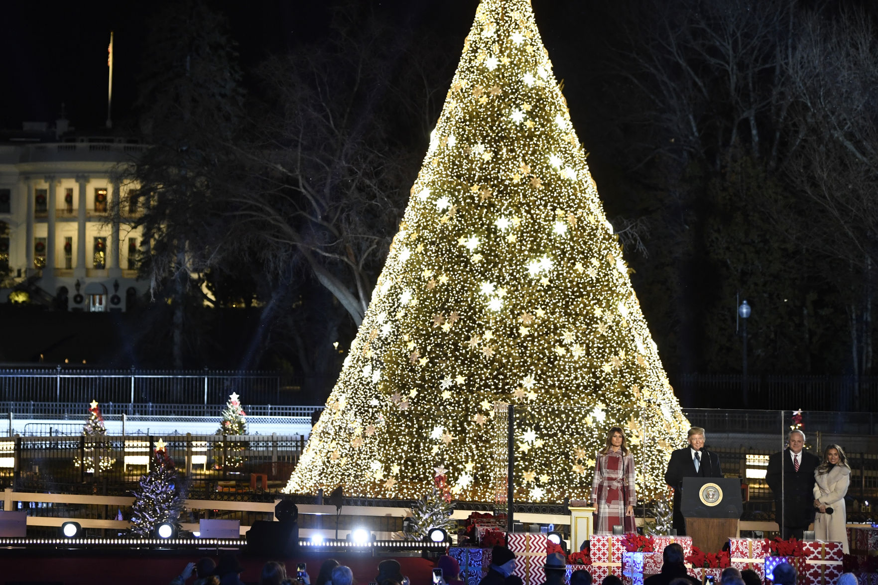 Trump Christmas Tree